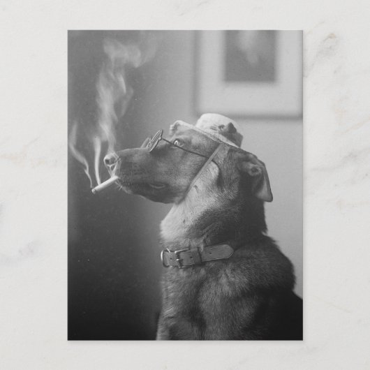 Carte Postale Portrait d'un chien, 1923 (Devant)