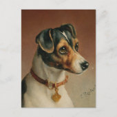 Carte Postale Portrait d'un Jack Russel Terrier | Carl Reichert (Devant)