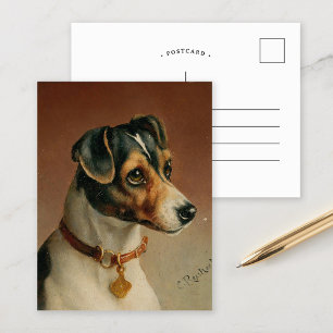 Carte Postale Portrait d'un Jack Russel Terrier   Carl Reichert