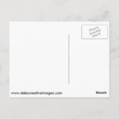 Carte Postale Portrait d'un mâle (Dos)