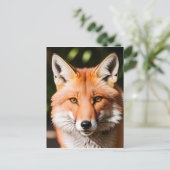 Carte Postale Portrait d'une Fox (Debout devant)