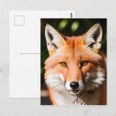 Carte Postale Portrait d'une Fox (Devant / Derrière)