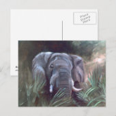 Carte postale Portrait éléphant (Devant / Derrière)
