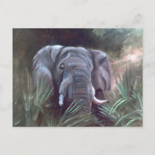 Carte postale Portrait éléphant