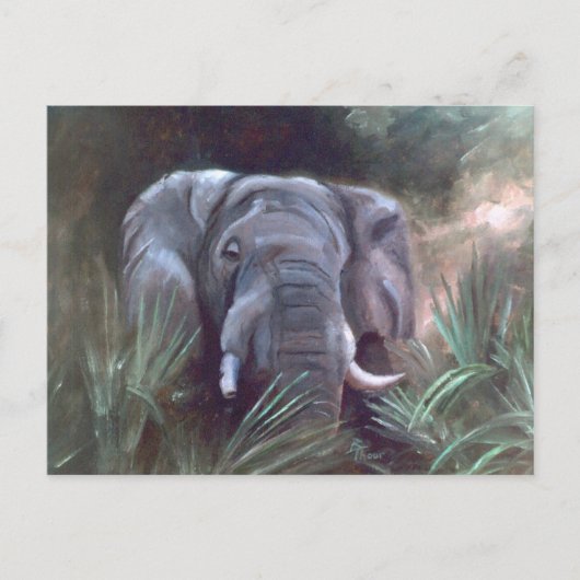 Carte postale Portrait éléphant (Devant)