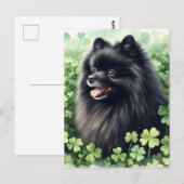 Carte Postale Portrait en Jour de la Saint Patrick de Poméranie (Devant / Derrière)