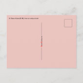 Carte Postale Portrait encadré de Saint Rose de Lima (K 48) (Dos)