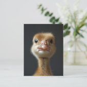 Carte Postale Portrait Gosling (Debout devant)