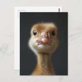 Carte Postale Portrait Gosling (Devant / Derrière)