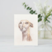 Carte Postale Portrait Greyhound (Debout devant)