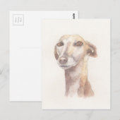 Carte Postale Portrait Greyhound (Devant / Derrière)