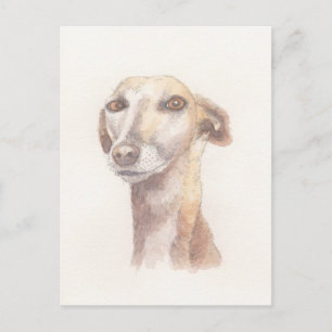 Carte Postale Portrait Greyhound