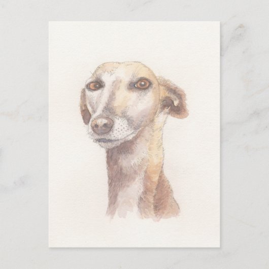 Carte Postale Portrait Greyhound (Devant)