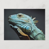 Carte Postale Portrait Iguana Sérieux (Devant)