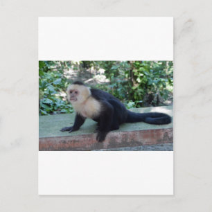 Carte Postale Portrait.JPG