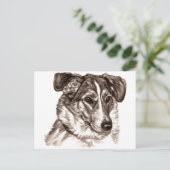 Carte Postale Portrait lisse Collie (Debout devant)