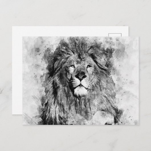 Carte Postale Portrait noir et blanc du lion mâle (Devant / Derrière)
