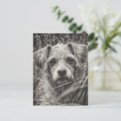 Carte Postale Portrait noir et blanc mignon et chiot photo (Debout devant)