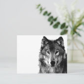 Carte Postale Portrait noir et blanc Wolf (Debout devant)