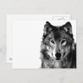 Carte Postale Portrait noir et blanc Wolf (Devant / Derrière)