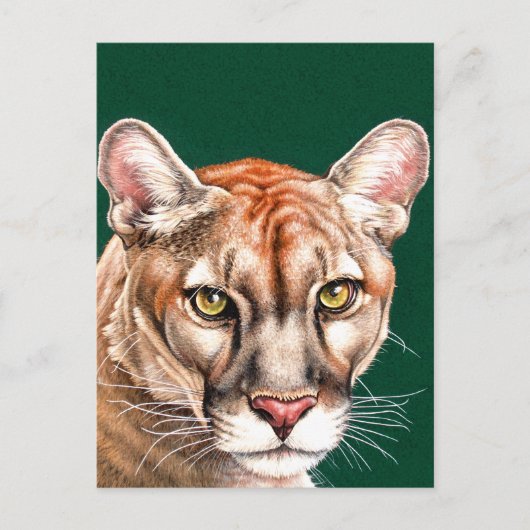 Carte Postale Portrait Panther (Devant)