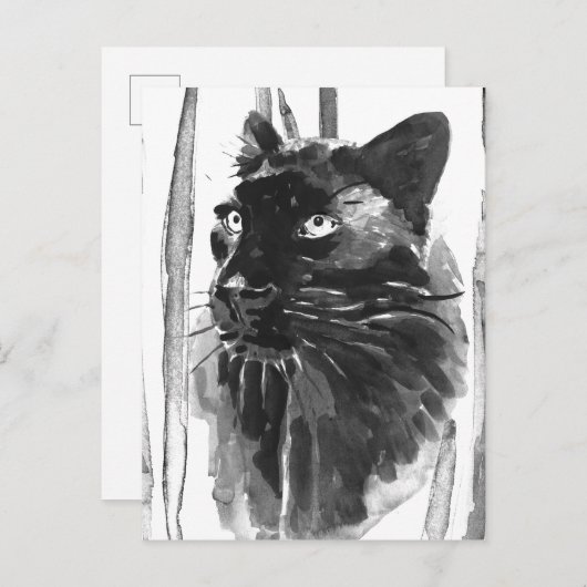 Carte Postale Portrait Panther (Devant / Derrière)