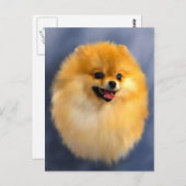 Carte postale Portrait Poméranie (Devant / Derrière)