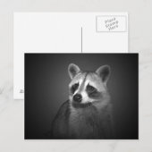 Carte postale Portrait Raccoon (Devant / Derrière)
