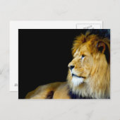 Carte Postale Portrait royal (Devant / Derrière)