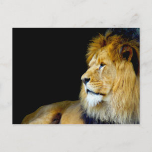 Carte Postale Portrait royal