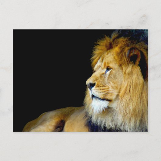 Carte Postale Portrait royal (Devant)