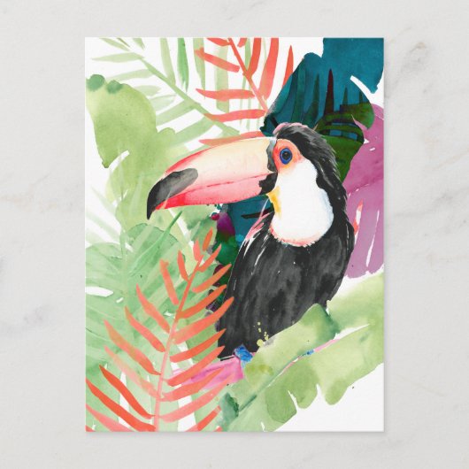 Carte Postale Portrait toucan avec Feuilles tropicaux (Devant)