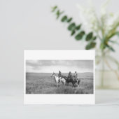 Carte Postale Portrait Vintage amérindien (Debout devant)