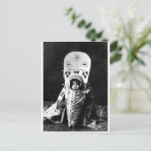 Carte Postale Portrait Vintage amérindien (Debout devant)