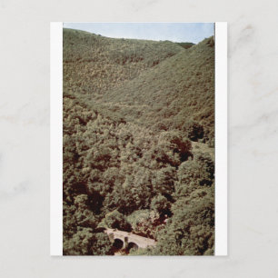 Carte Postale Portrait vintage de la vallée boisée de Fingle Bri