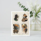 Carte Postale Portraits composites des métiers Vintage (Debout devant)