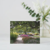 Carte Postale Portsmouth Garden (Debout devant)