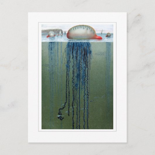 Carte Postale Portugais de la guerre (Devant)