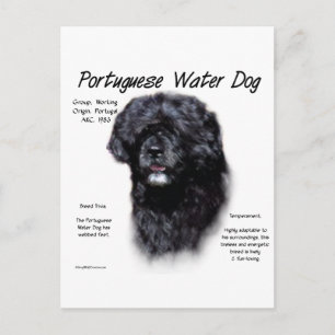 Carte Postale Portugais de l'histoire des chiens d'eau Design
