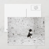 Carte Postale Portugais Water Dog dans la chambre couverte (Devant / Derrière)