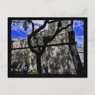 Carte Postale (Portugal) Funchal, Madeira Postcard