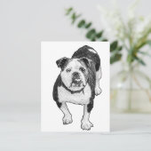 Carte Postale Pose frontale, note calme Bulldog (Debout devant)