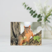 Carte Postale Pose parfaite (Debout devant)