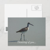 Carte Postale Pose Sandpiper (Devant / Derrière)