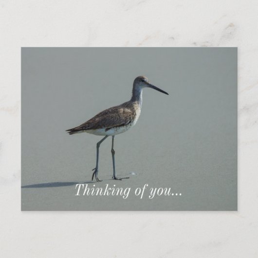 Carte Postale Pose Sandpiper (Devant)