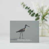Carte Postale Pose Sandpiper (Debout devant)