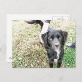 Carte Postale Poses de fumée adorables pour la caméra (Devant / Derrière)