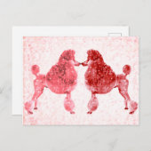 Carte Postale Posh Poodle Love Valentine's (Devant / Derrière)