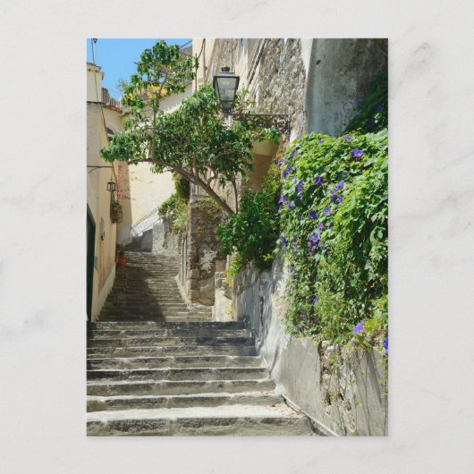 Carte Postale Positano Postcard (Devant)