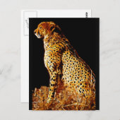 Carte Postale Position de Cheetahs (Devant / Derrière)